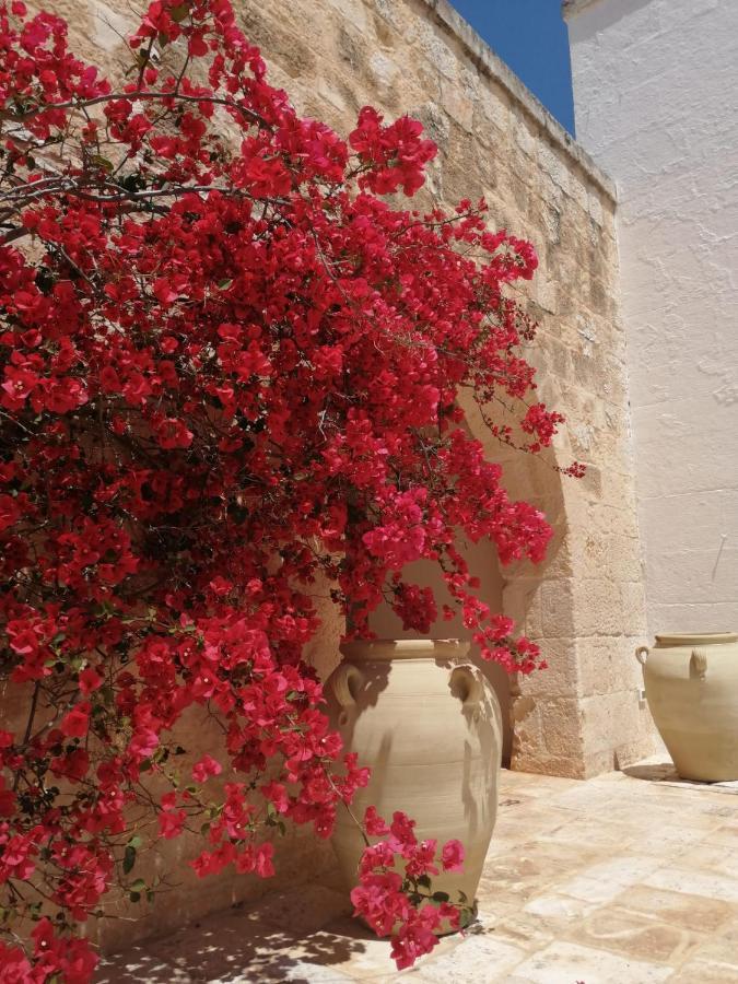 Masserie Maresca Ostuni Exteriér fotografie